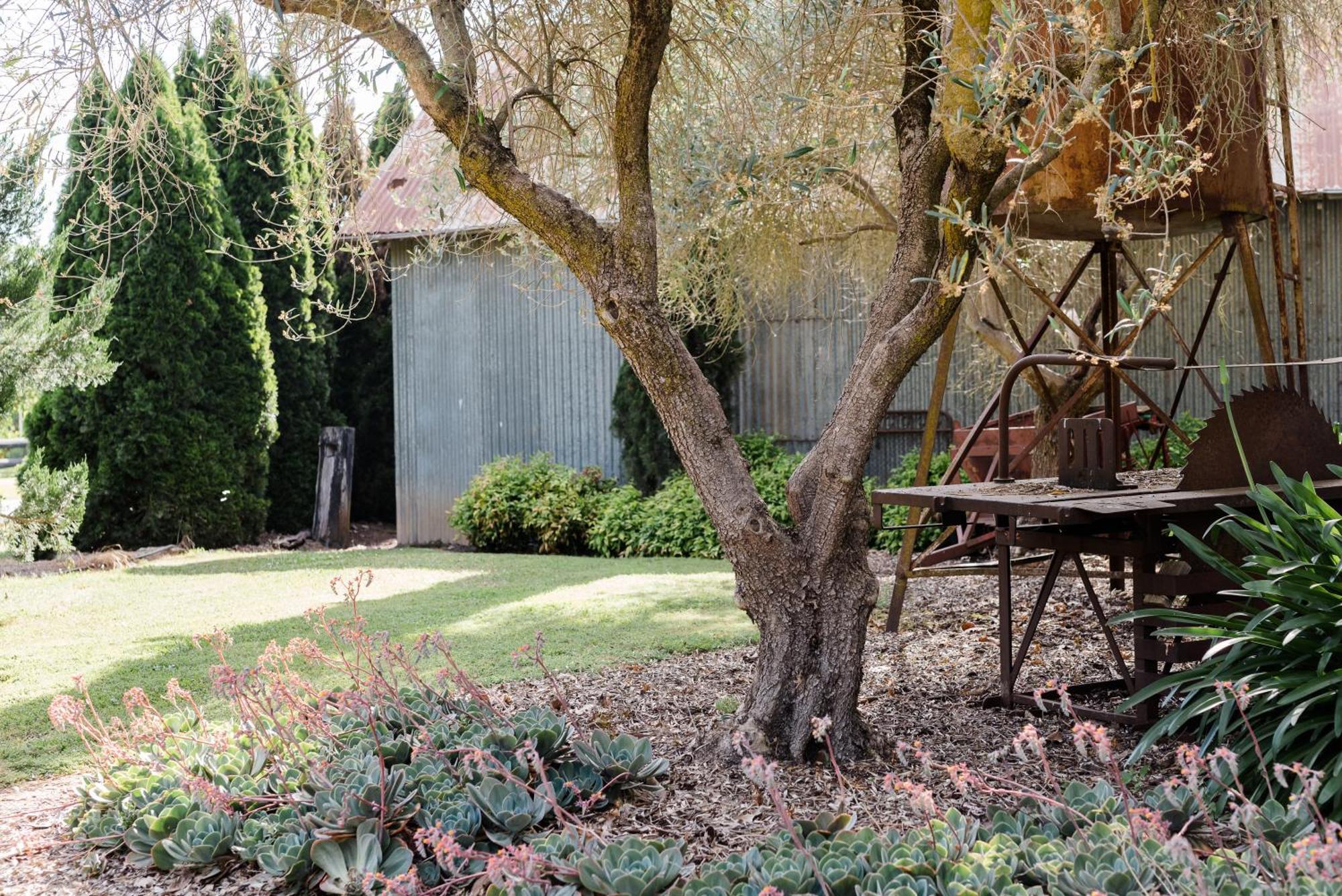 Walnut Tree Cottages Whorouly Экстерьер фото